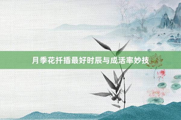 月季花扦插最好时辰与成活率妙技